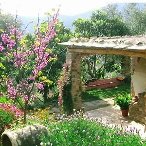 Cortijo Cañuelo Bayacas